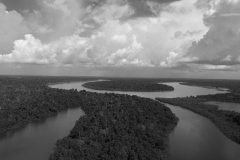BN-Captura-de-pantalla-2016-09-06-a-las-5.07.20-p.m-scaled