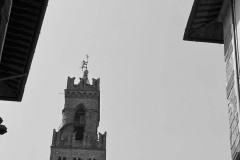 IMG_4449