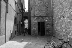 IMG_4462