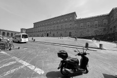 IMG_4532
