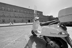 IMG_4533