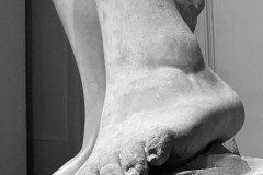 IMG_4610