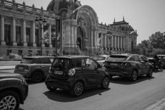 Petit Palais