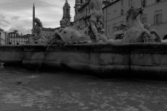 IMG_0492-2