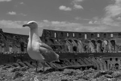 IMG_0713-2