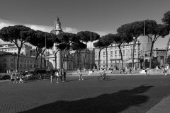 IMG_0882-2