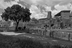 IMG_1070-2