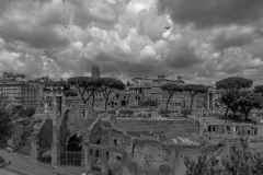 IMG_1094-2
