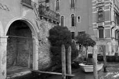IMG_5089