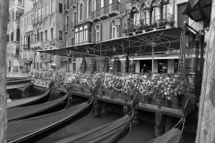 IMG_5142