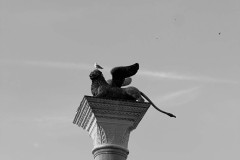 IMG_5198