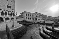 IMG_5209
