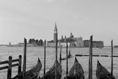 IMG_5214