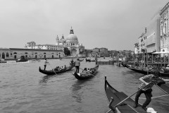 IMG_5267