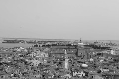 IMG_5331