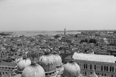 IMG_5342