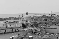 IMG_5356